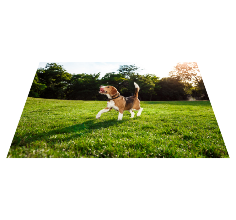 Happy beagle running animal vinyl rug - TenStickers