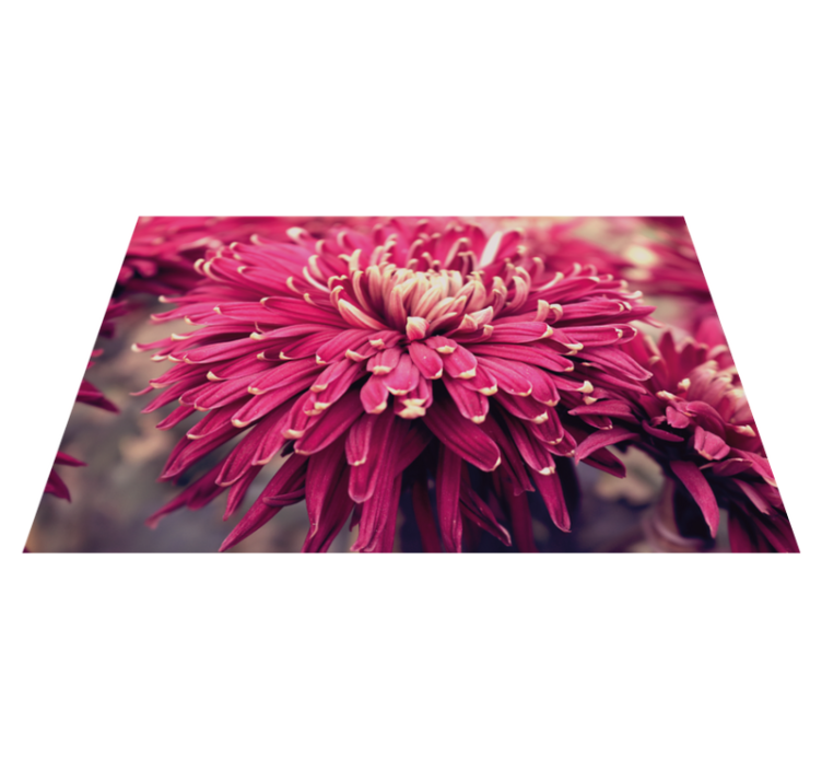 Big flowers design floral rug - TenStickers