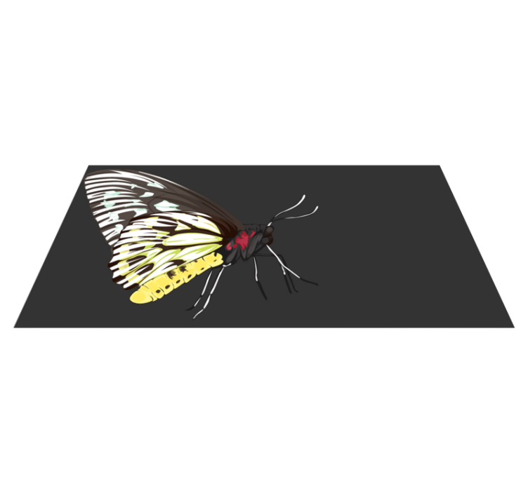 Butterfly Imagery nature vinyl rug - TenStickers
