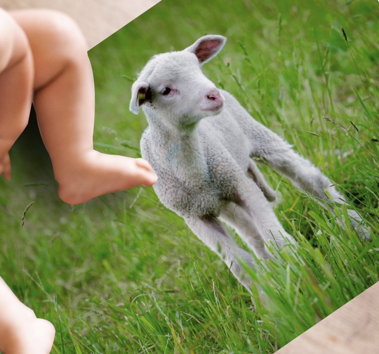 Animal cute lamb animal rug - TenStickers