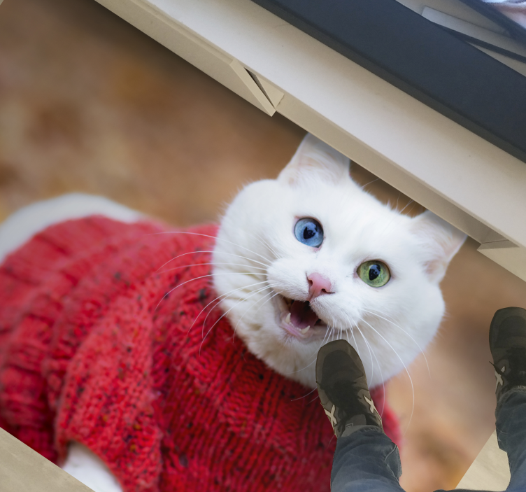 Animal cute smiling cat animal rug - TenStickers