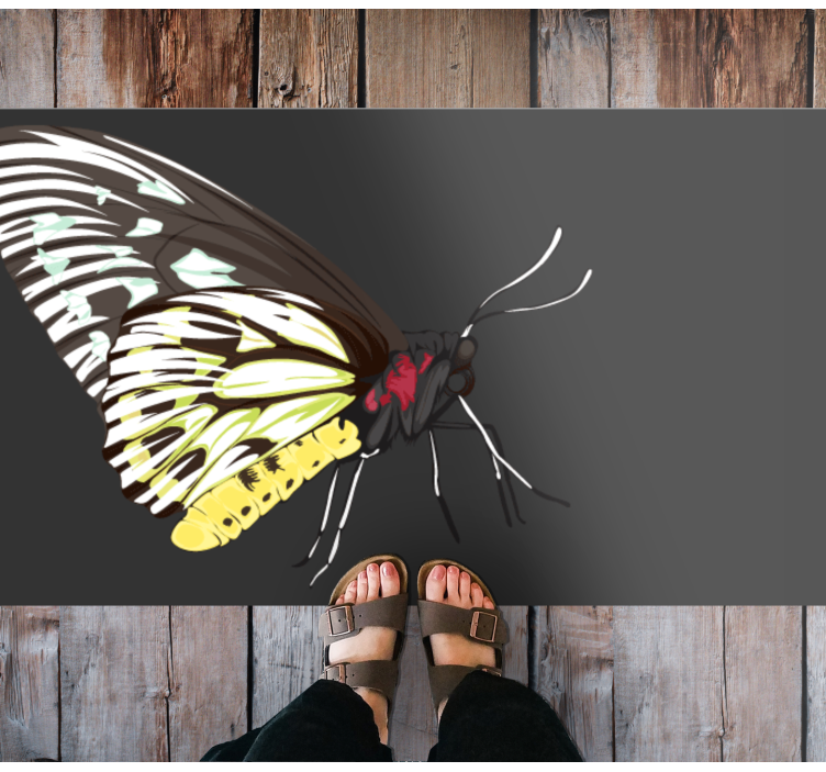 Butterfly Imagery nature vinyl rug - TenStickers