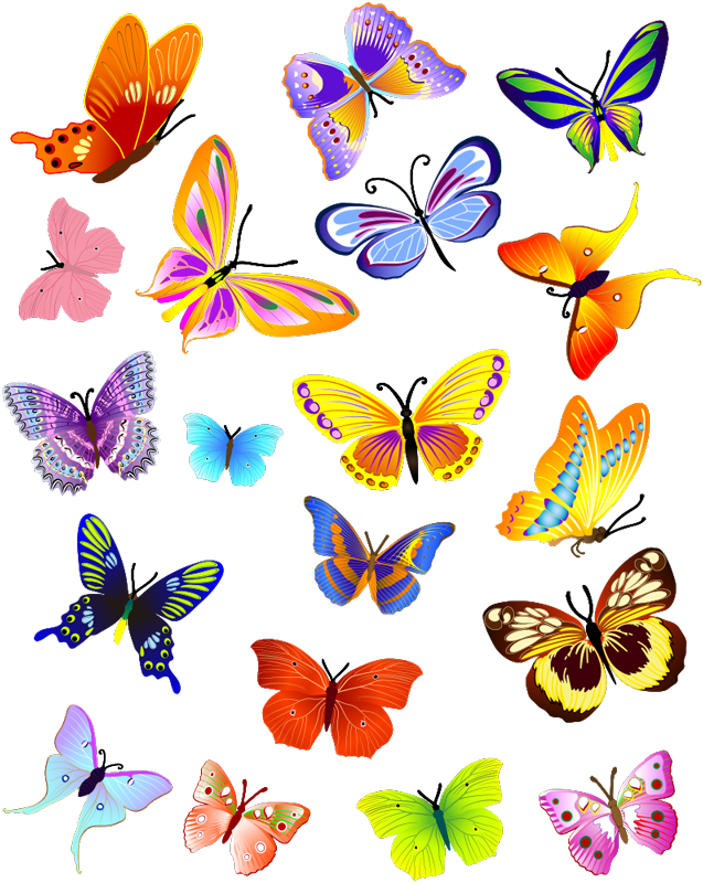 Multicolor flying butterflies animal vinyl rug - TenStickers