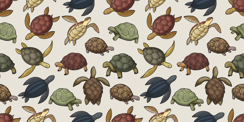 Variety of turtles animal vinyl rug - TenStickers