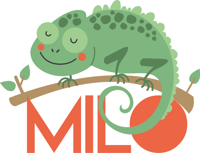 Animal vinyl rug chameleon personalized name - TenStickers