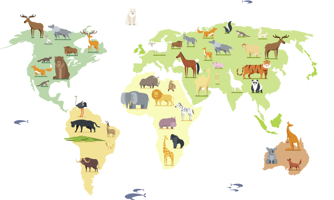 Colorful animals from the continents bedroom vinyl rug - TenStickers