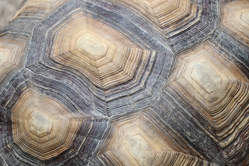 Textured Agate textured vinyl rug - TenStickers