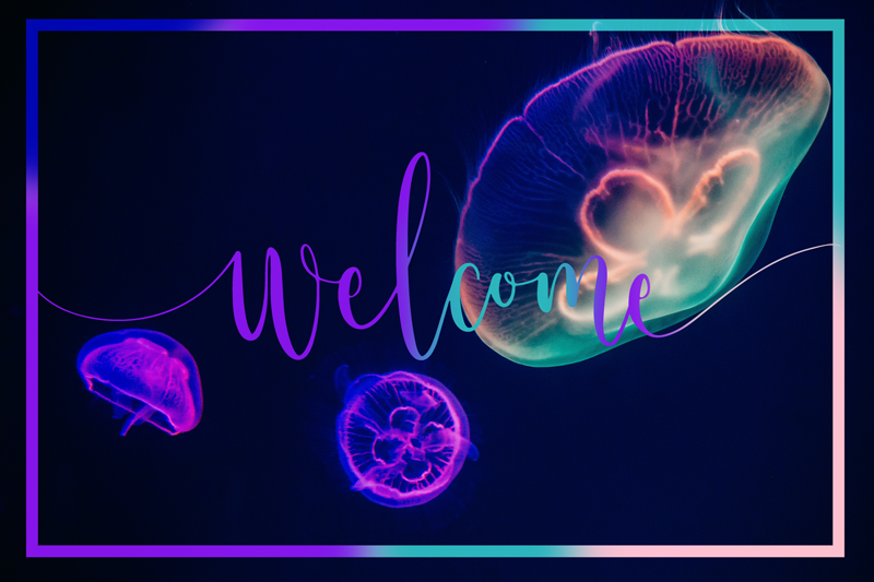 Jellyfish Welcome animal vinyl rug - TenStickers
