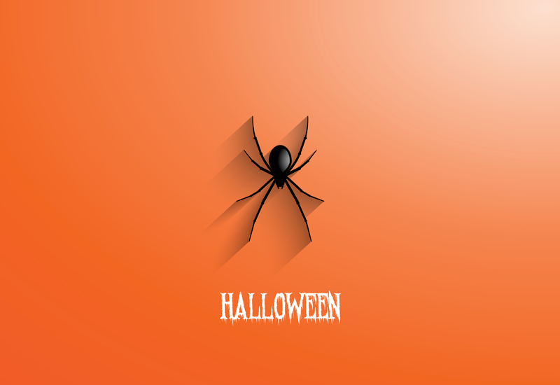 Spider Halloween vinyl hall rug - TenStickers