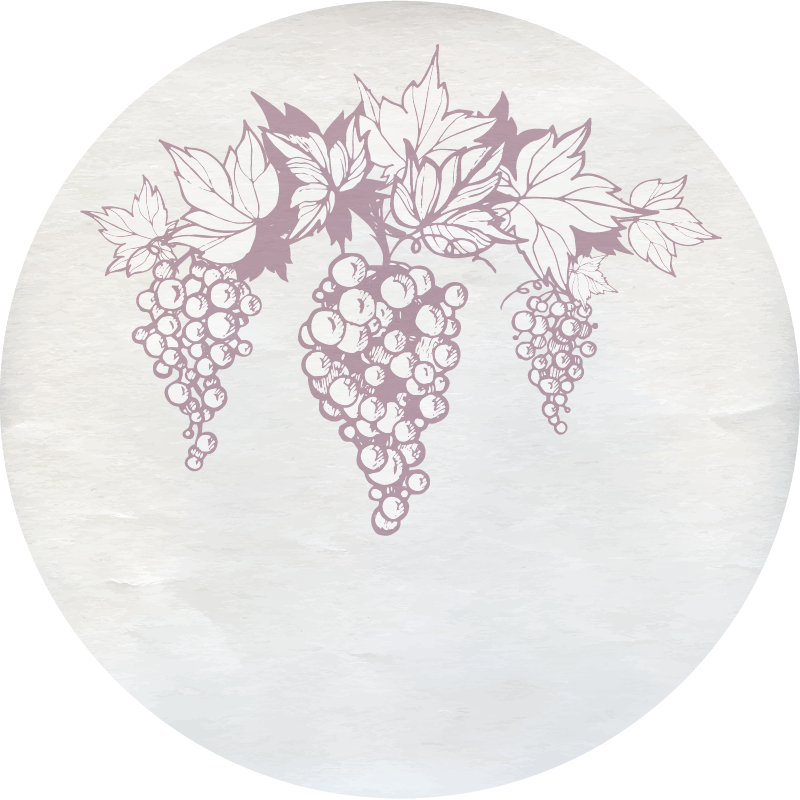 Retro grapes nature rug design - TenStickers