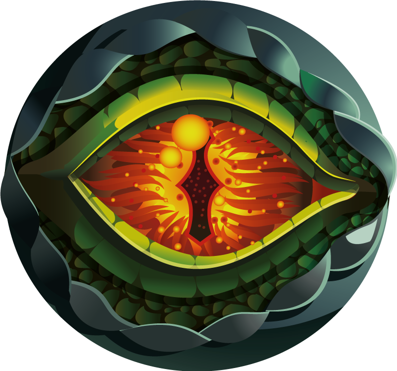 Abstract Nature Eye nature vinyl rug - TenStickers