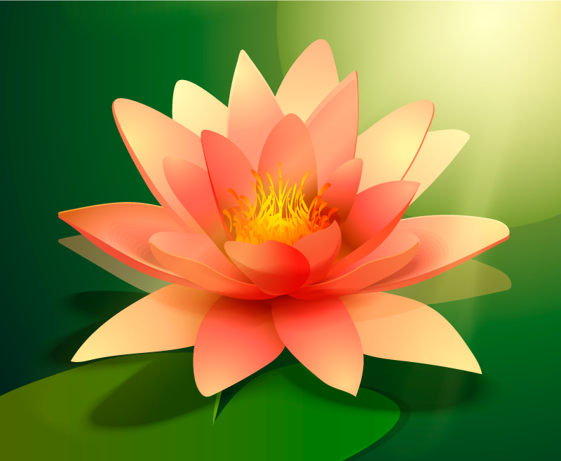 Lotus with shadow floral vinyl rug - TenStickers