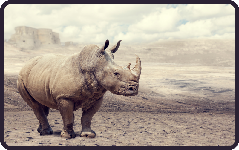 Majestic rhinoceros scene animal vinyl rug - TenStickers