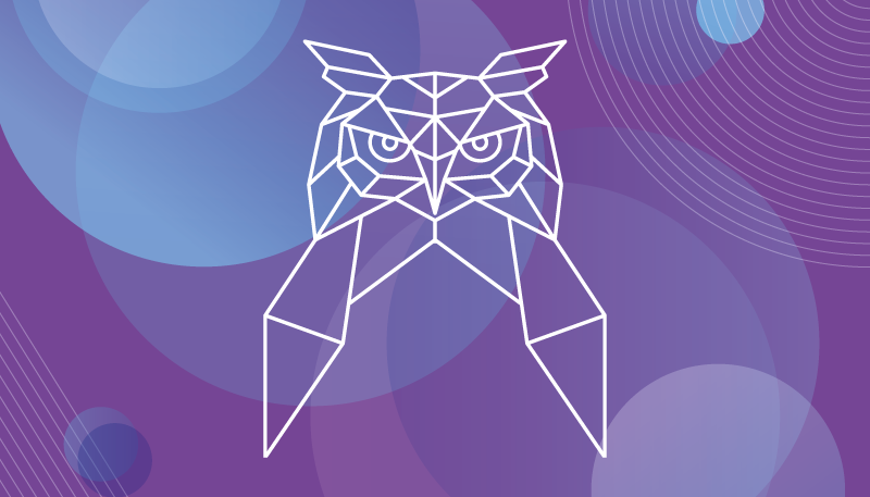 Geometric owl art animal vinyl rug - TenStickers