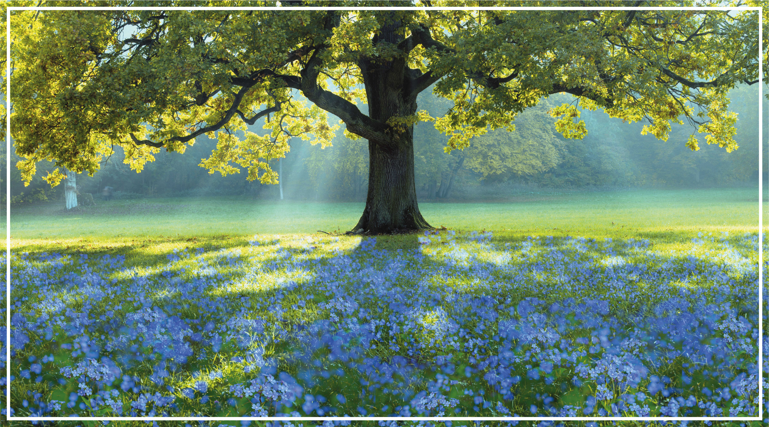 Blue flowers and a tree floral rug - TenStickers