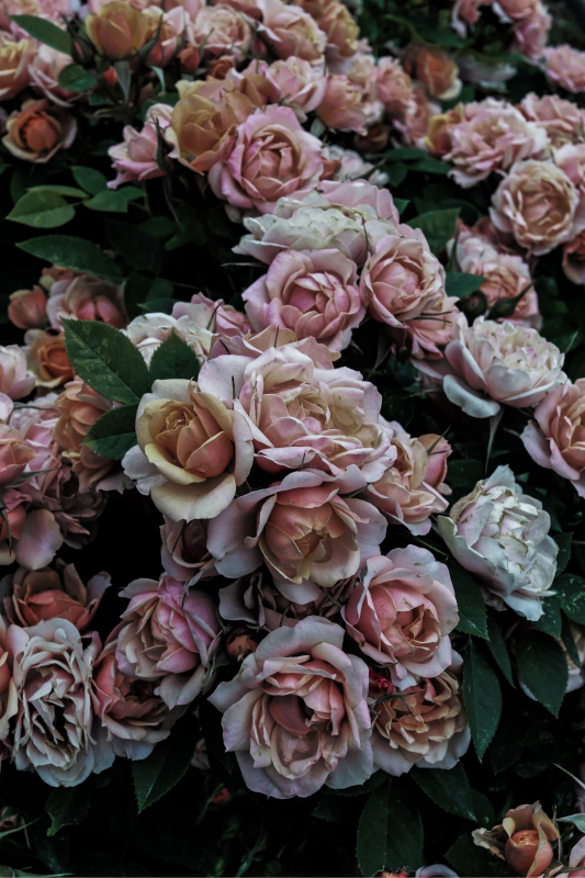 Graceful Botanical Arrangement floral vinyl rug - TenStickers