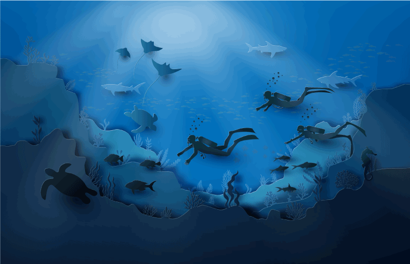 Underwater Exploration nature vinyl rug - TenStickers