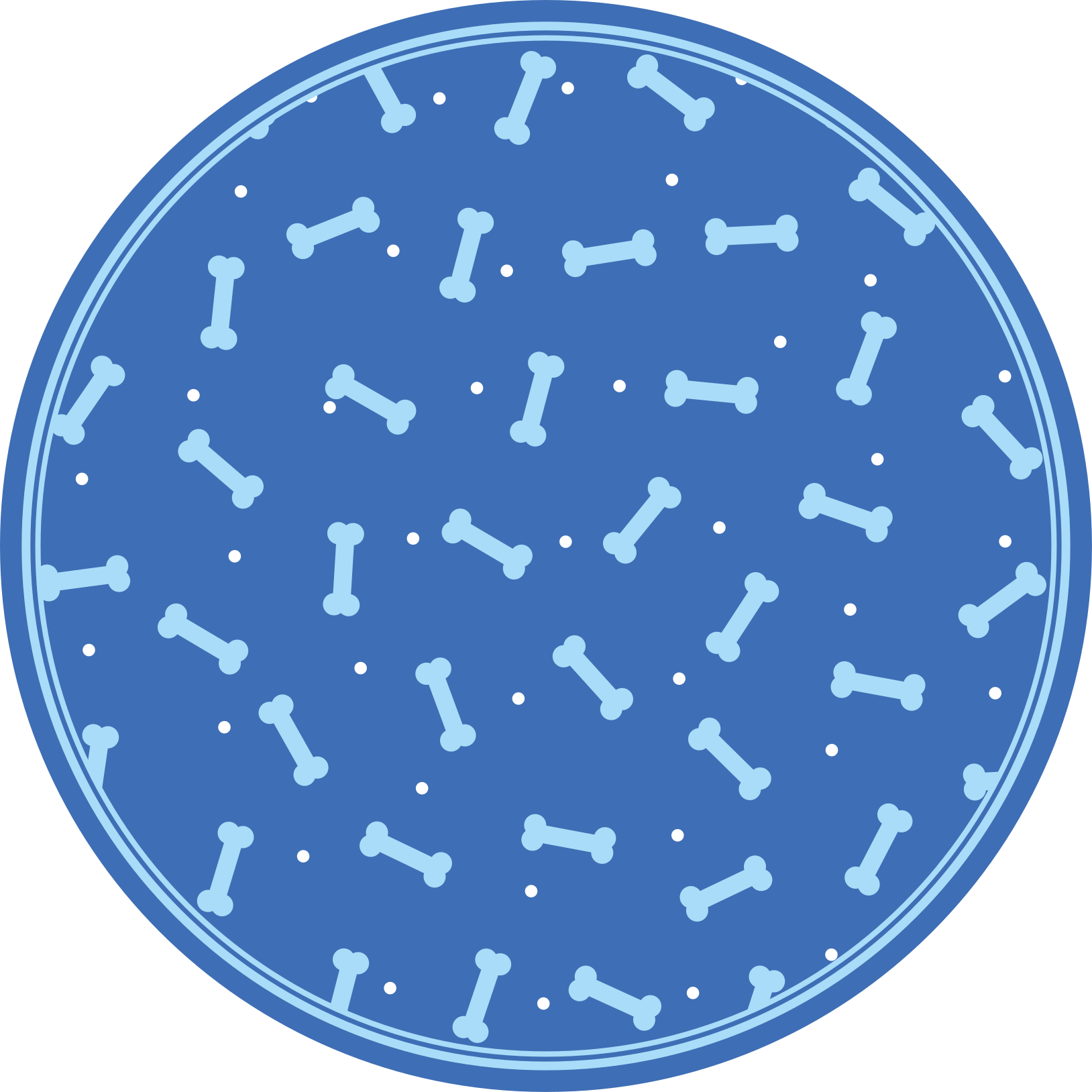 Bone Pattern Play circular vinyl rug - TenStickers