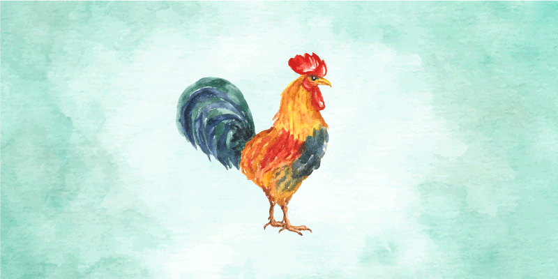 Aquarella rooster artwork animal vinyl rug - TenStickers