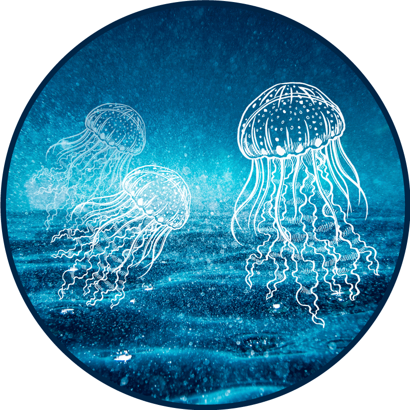 Blue and white jellyfish bedroom rug - TenStickers