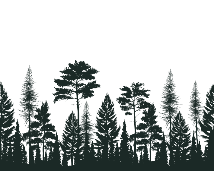 Silhouetted Forest nature rug - TenStickers