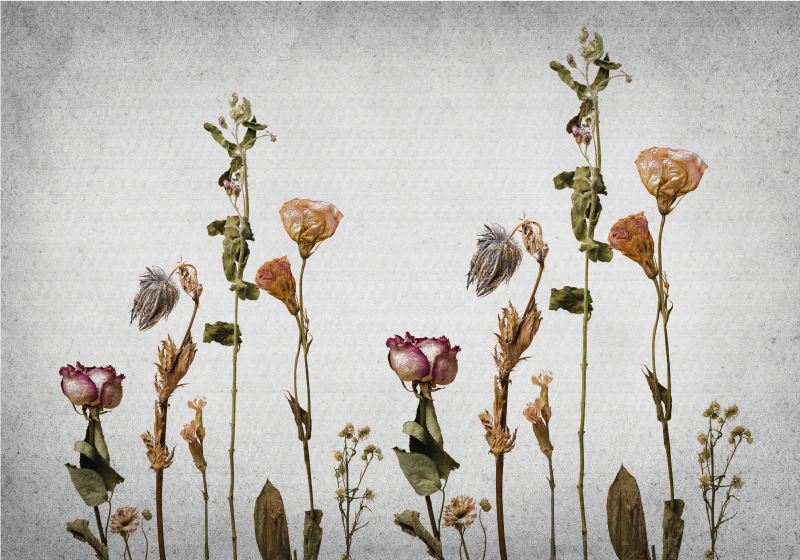 Botanical Imagery floral vinyl rug - TenStickers