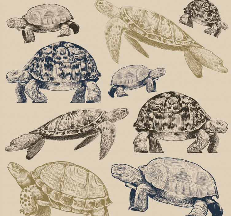 Turtle Collection animals wallpaper - TenStickers