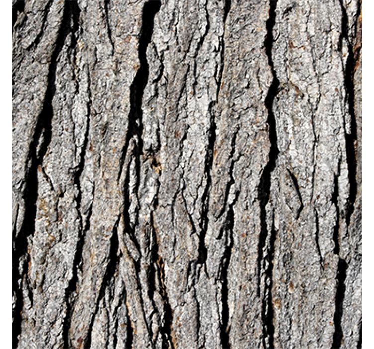 Wood effect wallpaper realistic bark design - TenStickers