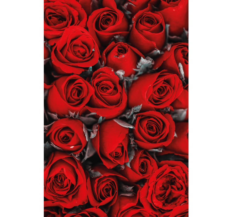 Red roses romantic flowers wallpaper - TenStickers
