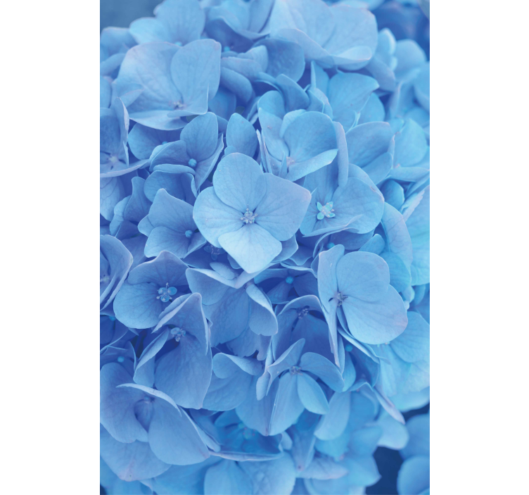Flowers wallpaper hydrangea flower design - TenStickers