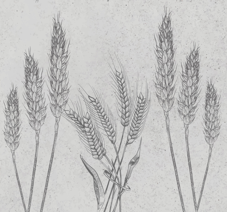 Elegant wheat stalks rustic wallpaper - TenStickers